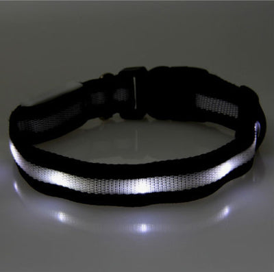 LED Light Dog Safety Glow Collar