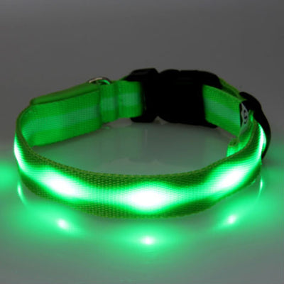 LED Light Dog Safety Glow Collar
