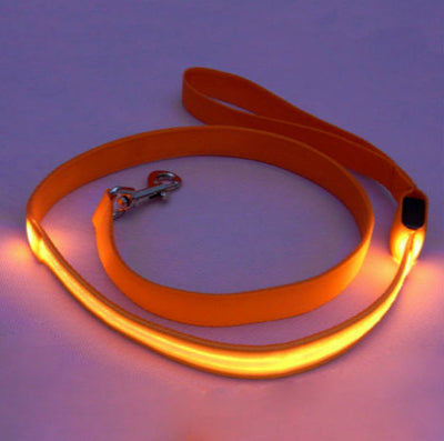 LED Light Dog Safety Glow Leash