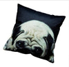 Cute Pug Pillow Cover
